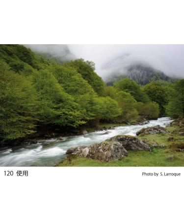 Cokin A120 G1 Grey Graduated Filter | Creative Photography Filter - Buy Online on GoSupps.com