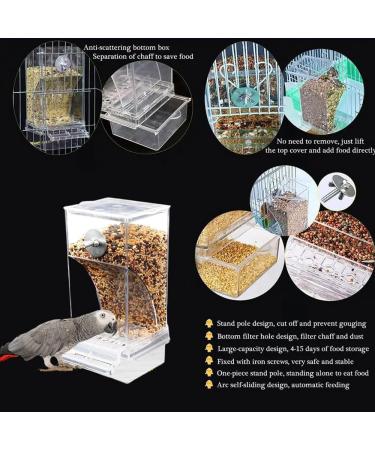 Automatic Acrylic Bird Feed Dispenser - Transparent Swing Toys & Pepperwood Grinder for Parrots | International Shipping - Buy Online on GoSupps.com