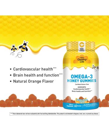 Country Life Omega-3 Honey Gummies Cardiovascular & Brain Health Support Non-GMO Certified Gluten Free Naturally Sweetened 60 Gummies - Buy Online on GoSupps.com