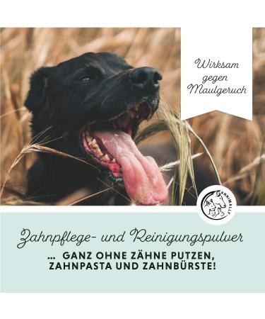 Annimally Dental Care Powder for Dogs - Natural Tartar Remover Yellow Teeth & Bad Breath Solution (350g XL) - Buy Online on GoSupps.com