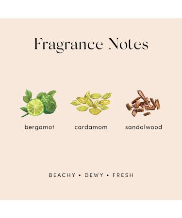 Isle Rollie Perfume By Skylar - Travel Size - Layerable Fragrance - Paraben Free Vegan Cruelty Free Phthalate Free - Beachy and Fresh Scent - Notes Of Bergamot Sandalwood (10mL / 0.33 fl oz) - Buy Online on GoSupps.com