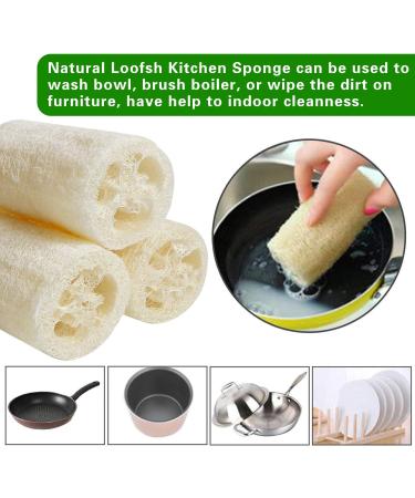 Buy 6 Pack Natural Luffa Sponge - 10cm Exfoliating Cucumbers for Skin Care Bath & Shower Peeling - Eco-Friendly Body & Kitchen Sponge - Buy Online on GoSupps.com