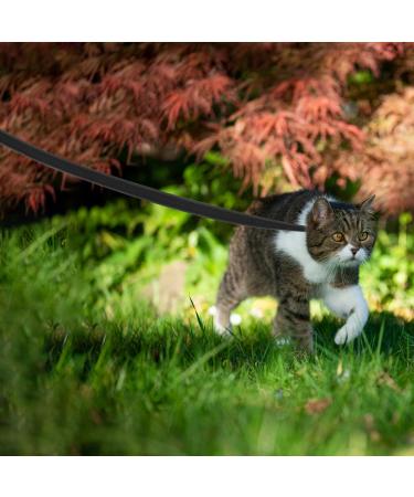 Wolfone 3m Black Lightweight Training Lead for Large, Medium, Small Dogs/Cats - Non-Slip Latex Silk Daily Lead for Recall, Camping, Walking - Buy Online on GoSupps.com