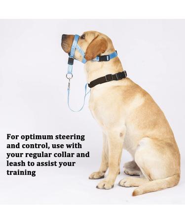 Barkless Dog Handler - No Pull Training Tool for Medium & Large Dogs | Soft Upholstery & Instructions | Light Blue - Buy Online on GoSupps.com