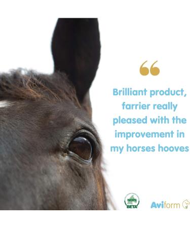 Aviform Biodura Hoof Supplement For Horses - Equine Hoof Care Strengthens and Repairs Horses Hooves - 1kg Compostable Bag - Buy Online on GoSupps.com