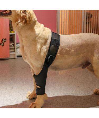 Dog Knee Brace Adjustable Dog Rear Leg Brace Soft Breathable Dog Knee Support Brace for Elderly Disabled Injured Dogs Both Back and Front Legs (S) - Buy Online on GoSupps.com