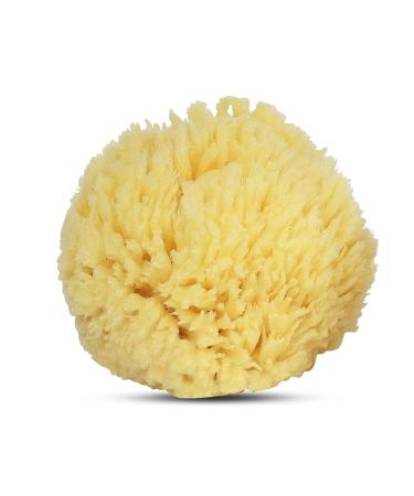 Baby Buddy Natural Wool Sea Sponge - Hypoallergenic Bath Sponge for Tender Skin - 4.5in, Brown - 1 Count - Buy Online on GoSupps.com