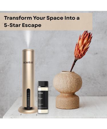 Coco-Chance-Inspired Diffuser Oil Refill - Scentia Hope Dupe Fragrance Oil Blend Home Luxury Scents Essential Oil Set for Aromatherapy Di?users Candle Making | 20 ml 0.67 Fl Oz Thanksgiving Gift Hope 0.67 Fl Oz (Pack of  - Buy Online on GoSupps.com