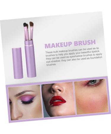 NOLITOY Lip Brush 5 Pcs Horsehair Eyeshadow Brush Eye Blending Brush Setting Powder Brush Eye Smudger Brush Eyeshadow - Buy Online on GoSupps.com