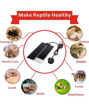 AIICIOO Lizards Heat Mat Temperature Controller Tank Warmer Aquarium Heating Mat Terrarium Pads with Thermostat for Reptiles Lizard Turtles Snake 7W 7W & thermostat - Buy Online on GoSupps.com