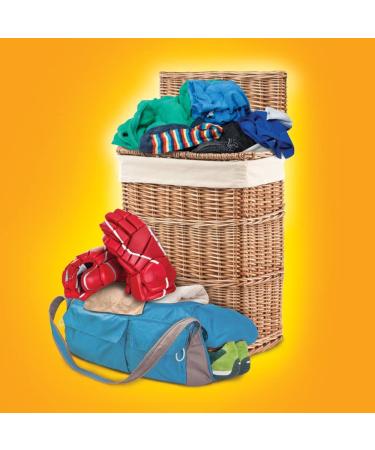 Arm & Hammer 48127 Odor Busterz Balls 3 Pack - Orange 3-Pack - Buy Online on GoSupps.com