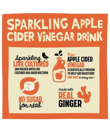 Remedy Sugar Free Raw Apple Cider Vinegar Drink with The Mother - USDA Organic & Keto - Blood Orange Sparkling ACV - 8.5 Fl Oz Can 12-Pack - Buy Online on GoSupps.com