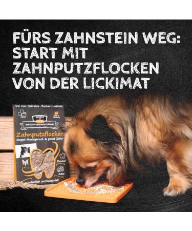 Qchefs Sizzles: Natural Dental Care Snacks for Small Dogs - Freshens Bad Breath & Reduces Plaque & Tartar Without Toothbrush or Spray - Buy Online on GoSupps.com