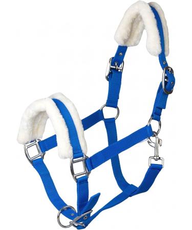Buy RL24 Halter with Plush Padding - BASICLINE in 6 Colors | Shetland Pony Thoroughbred Warmblood - Royal Blue for Warmbloods | Shop Internationally - Buy Online on GoSupps.com