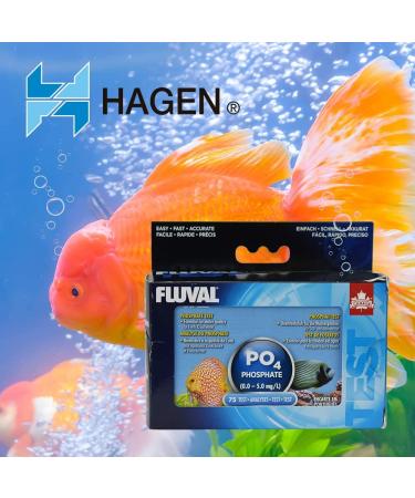 Fluval Aquarium Water Test Kit for Freshwater & Saltwater Fish Tanks - Phosphate Testing - Buy Online on GoSupps.com