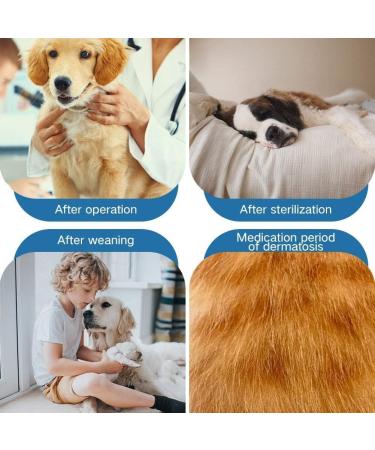 Dog Recovery Suit for Abdominal Wounds - Ppactvo Green Vest for Small & Medium Pets | Post-Operative Wear for Cats & Dogs | 2XL - Buy Online on GoSupps.com