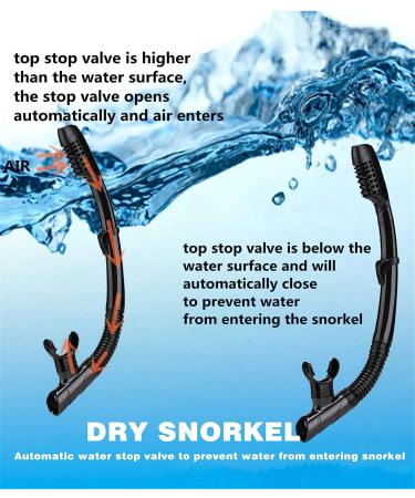 Snorkel Mask Set for Adults and Youth - Diving Mask with Full Dry Snorkel & Swim Goggles for Snorkeling, Scuba Diving, and Swimming - Black - Buy Online on GoSupps.com