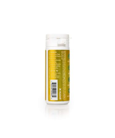 Xlear Spry Chewing Gum Fruit Sugar-Free 27 pieces - Buy Online on GoSupps.com