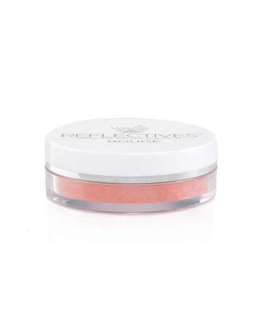 Reflective Mineral Rouge Powder - Warm Terracotta Set | 4 Vibrant Accent Colors for Flawless Beauty - Buy Online on GoSupps.com