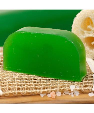  Ancient Wisdom Ancient Wisdom Eucalyptus Solid Argan Bread Shampoo - Buy Online on GoSupps.com