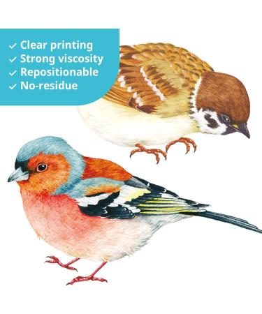 DECOWALL DS-8063 25 Colourful Little Birds Wall Stickers - Removable Decals for Home Decor - Buy Online on GoSupps.com