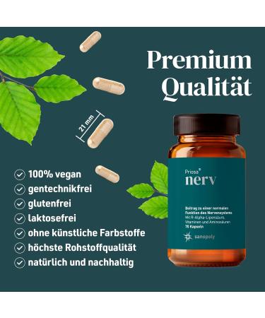 Sanopoly Priosa Nerve I 70 Capsules | Vitamin B6 & B12 for Nervous System Support | Premium Dietary Supplement - Buy Online on GoSupps.com