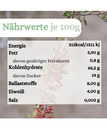  1001 Frucht 1001 Frucht Naturally Dried Freshness - Refreshing strawberries from Germany without additives - Delicious unsweetened dried fruity strawberries - 500g - Buy Online on GoSupps.com