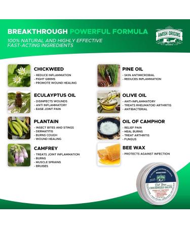 Amish Origins Old Time Chickweed Salve - 2 fl oz | Natural Skin Relief - Buy Online on GoSupps.com
