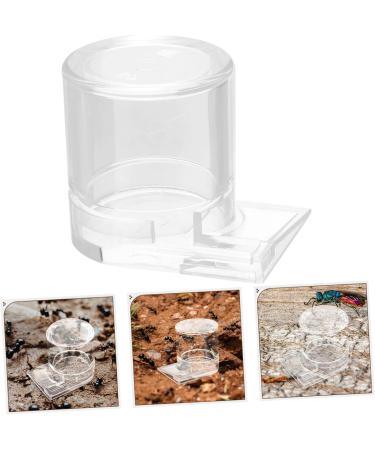 BESPORTBLE Pet Water Feeder Ants Feeding Device Ant Nest Supplies Ant Bowl Ant Feed Bowl Ant Waterer Cup Ant Nest Entrance Feeder Water Feeding Cup for Ant Nest Automatic Ants Feeder - Buy Online on GoSupps.com