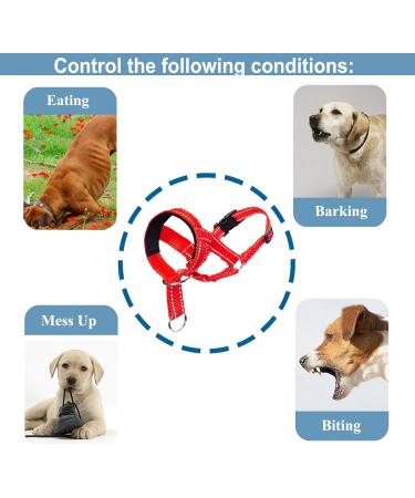 ILEPARK Dog Halter for Training | Colorful Adjustable Head Harness to Stop Pulling Easy to Use - Buy Online on GoSupps.com