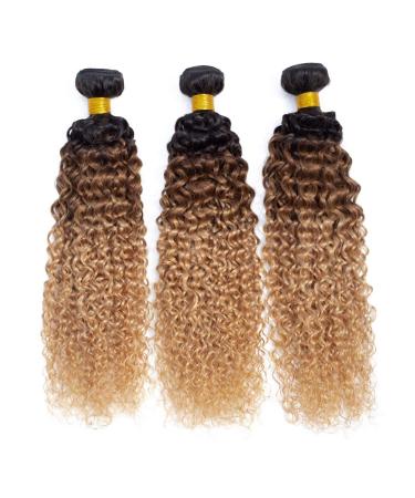 12A Ombre Brazilian Virgin Curly Hair 3 Bundles (T1B/30/27,20" 22" 24") Ombre Virgin Remy Kinky Curly Human Hair Weave Bundles 100% Unprocessed Virgin Remy Hair Bundles 3 Tone Ombre Bundles 20" 22" 24" #1B/30/27 Curly