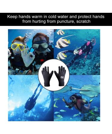 DIVE & SAIL Diving Gloves 3mm Neoprene Wetsuit Gloves for Men Women Anti Slip Flexible Neoprene Gloves Thermal for Diving Snorkeling Paddling Surfing Kayaking GLOV1127 black Large - Buy Online on GoSupps.com