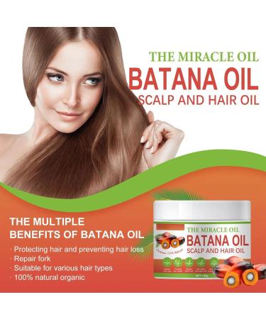 Batana Oil for Hair Growth - 100% Natural Repair Damaged Hair Nourishes Thin Hair Scalp Skin and Loss Hair Growth Fir for All Hair Types Miracle Oil for Thicker Fuller Hair - Buy Online on GoSupps.com