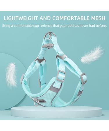 Rennaio No Pull Dog Harness & Leash Set - Adjustable Ultra Breathable Padded Chest Harness with Puppy Dishes & Clips for Small/Medium Dogs - Cyan M - Buy Online on GoSupps.com
