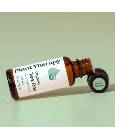 Plant Therapy Organic Tea Tree Oil (Melaleuca) 100% Pure USDA Certified Organic Undiluted Natural Aromatherapy Therapeutic Grade 30 mL (1 oz) - Buy Online on GoSupps.com