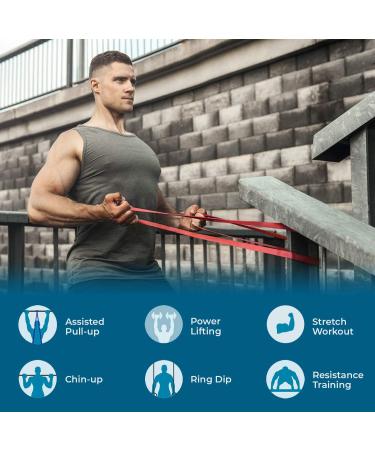 Beenax Resistance Bands Set - Heavy Duty Pull Up Assist Bands for Strength Training - Purple (25-65 LBS) - Buy Online on GoSupps.com