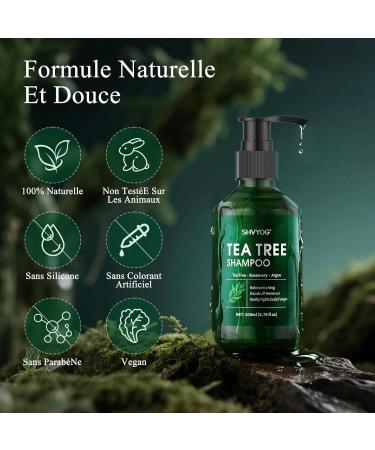 Coffret Shampoing et Apr s-Shampoing L'arbre Th Antifongique Apaise les D mangeaisons et Les Pellicules Pr vient la Chute des Cheveux Lot de 3 Pi ces pour Hommes et Femmes 200ml*2+30ml - Buy Online on GoSupps.com