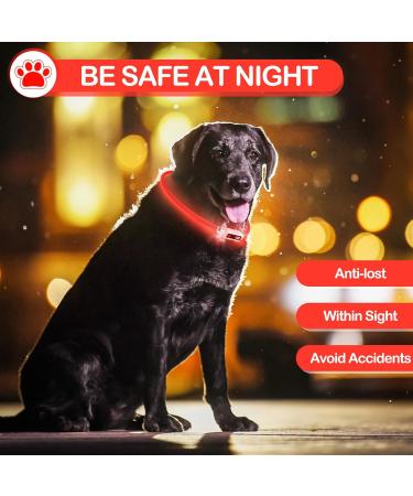 Yordawn Luminous LED Dog Collar - USB Rechargeable Waterproof Adjustable Length 3 Lighting Modes for Small & Medium Dogs and Cats - Enhanced Pet Safety in Red - Buy Online on GoSupps.com