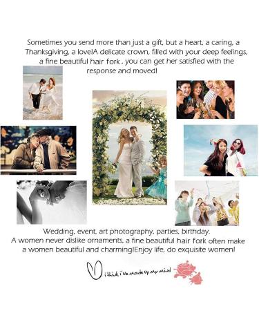 4 Pcs Metal Hair Fork Clip Set for Updo Bun - Black Hair Side Combs & Pin Stick - Women's Hair Styling Tool - Buy Online on GoSupps.com