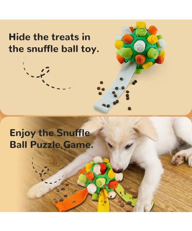 Larimuer Sniffing Ball for Dogs - Interactive Snuffle Toy for Small & Medium Pets - Portable Sniffing Car Toy (Green & Orange) - International Shipping Available - Buy Online on GoSupps.com