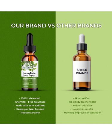 Lemon Balm Liquid Extract Tincture (Melissa officinalis) Alcohol-Free Drops Vegan, Non-GMO, Gluten-Free High Potency Herbal Supplement for Relaxation and Cognitive Support - 30ml / 1oz 1 Fl Oz (Pack of 1) - Buy Online on GoSupps.com