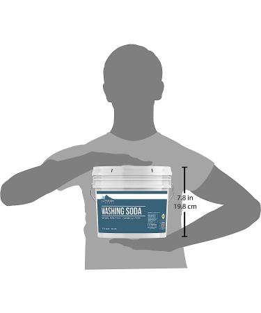 Earthborn Elements Washing Soda 1 Gallon - Non-Toxic Laundry Booster - Sodium Carbonate - Soda Ash - 9lb Pack of 1 - Buy Online on GoSupps.com