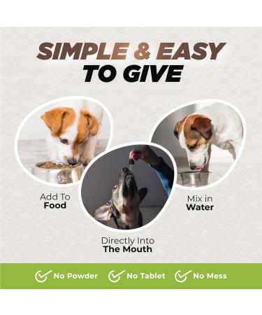 Kennel Cough Relief | Immediate and Long-Lasting Support for Dogs | 50ml - Buy Online on GoSupps.com