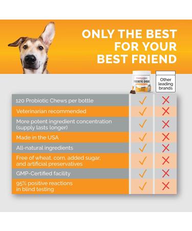 Premium Care Probiotics for Dogs - 120 Chews - Digestive Health Support for Dogs - Buy Online on GoSupps.com