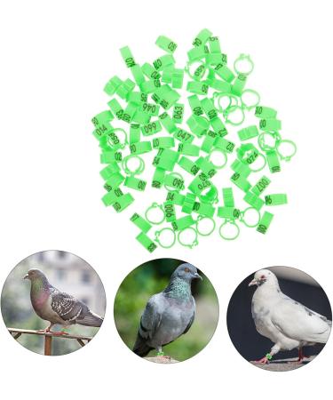 BESPORTBLE 200 Pcs Pigeon Anklet Chicken Thighs Pet Where Plastic Tags Pigeons Ring Bands The Bird Baby Digital 1.3X1.3CMx2pcs Greenx2pcs - Buy Online on GoSupps.com