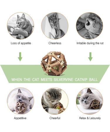 Gochanmon Catnip Toys Set - Natural Silvervine Stick, Catnip Ball, Bell Ball - Dental Hygiene & Playtime Fun for Indoor Cats - Buy Online on GoSupps.com