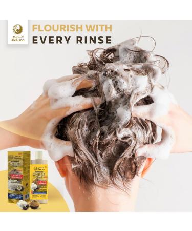 Sulfate-Free Hair Shampoo with Shea Butter & African Chebe Powder for Hair Growth | 8.45 fl oz - International Shipping Available - Buy Online on GoSupps.com