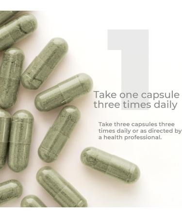 Premier Research Labs Hyssinol - Hyssop Herb Hyssop Capsules Wellness Pills with Organic Hyssop Dry Herb Dietary Supplement with Green Tea Antioxidant Support - 60 Vegetarian Capsules 60 Count (Pack of 1) - Buy Online on GoSupps.com