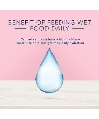 Blue Buffalo True Solutions Natural Digestive Care Adult Wet Cat Food Brown 5.5 oz (Pack of 24) Digestive Care Wet Cat Food - Lg Size - Buy Online on GoSupps.com