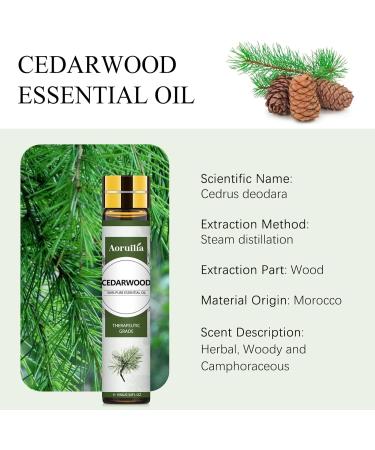 Aoruilia 10ml Cedarwood Essential Oil 100% Pure Natural Cedarwood Oil Essential Oils for Diffuser for Home Aromatherapy Bath Relax Soaps & Candles Making Cedarwood 10 ml (Pack of 1) - Buy Online on GoSupps.com